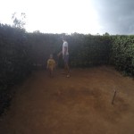 DCIM100GOPROGOPR0441.