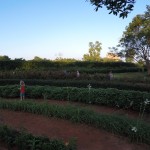 DCIM100GOPROGOPR0736.