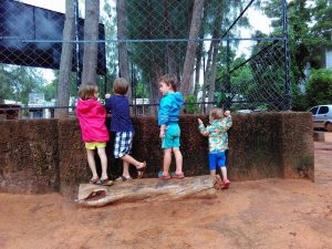 14138554_10210173191034601_744411156_n